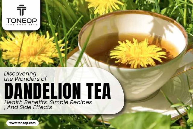 Discovering the Wonders of Dandelion Tea: Health Benefits, Simple Recipes, And Side Effects 
