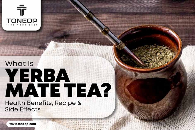 What Is Yerba Mate Tea? Health Benefits, Recipe And Side Effects 
