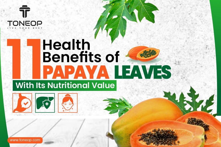 11 Health Benefits of Papaya Leaves With Its Nutritional Value