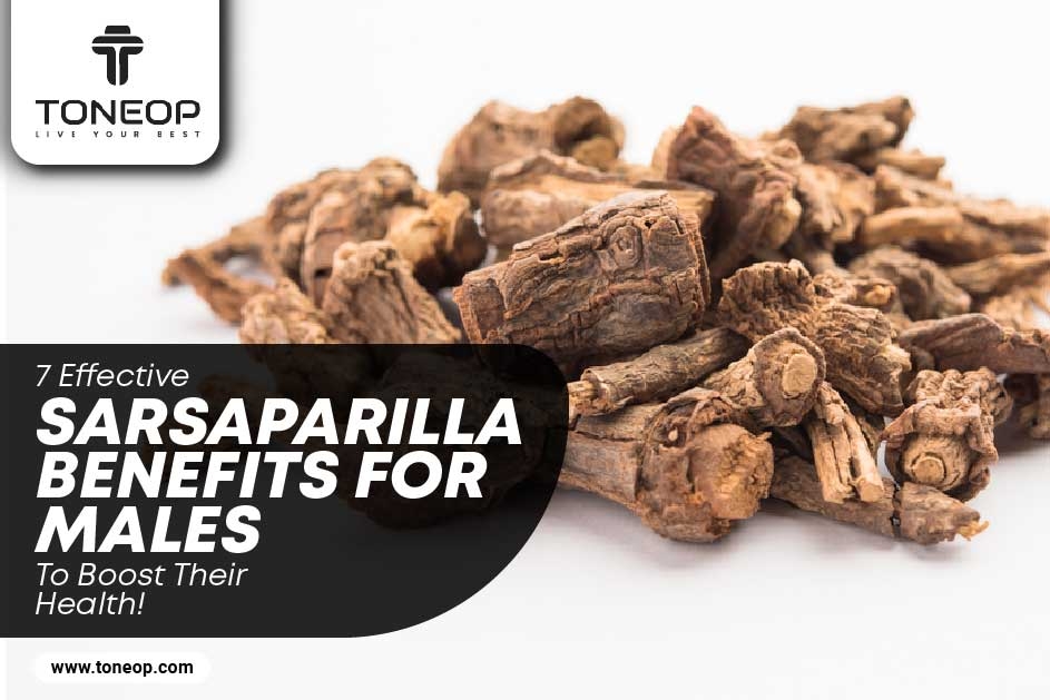 7 Effective Sarsaparilla Benefits For Males To Boost Their Health! 