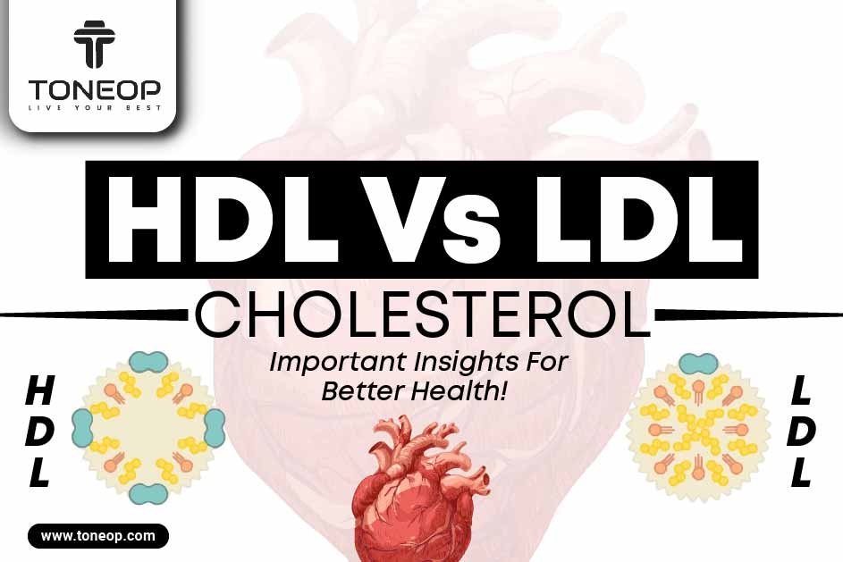 HDL Vs LDL Cholesterol: Important Insights For Better Health! 