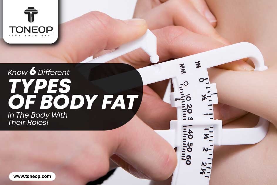 Know 6 Different Types Of Body Fat In The Body With Their Roles!