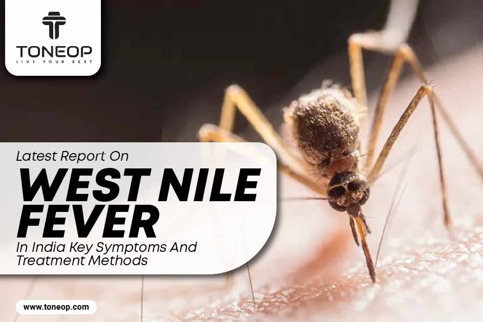 Latest Report On West Nile Fever In India: Key Symptoms And Treatment Methods  