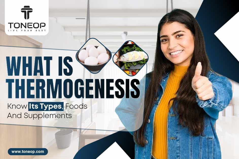 Basal metabolic rate (BMR) and nonshivering thermogenesis (NST) in