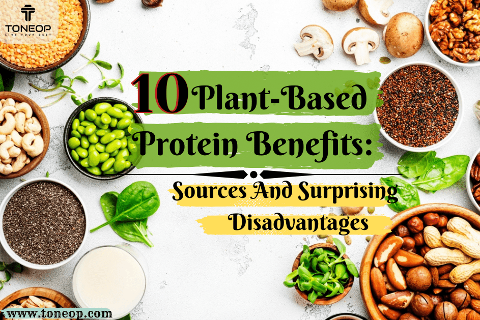 Top 10 Plant-Based Protein Benefits: Sources And Surprising Disadvantages