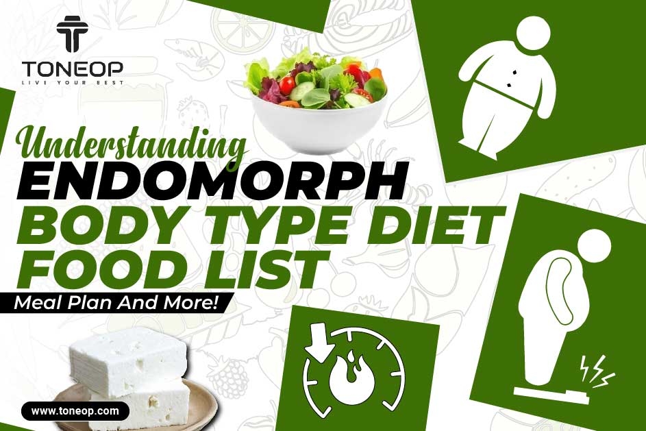 Understanding Endomorph Body Type Diet: Food List, Meal Plan And More! 