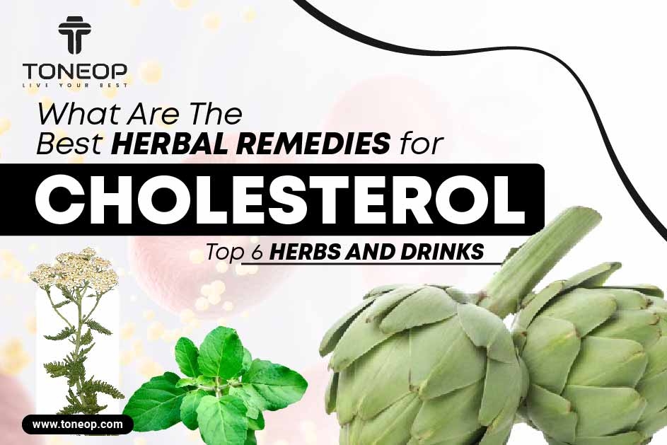What Are The Best Herbal Remedies for Cholesterol? Top 6 Herbs And Drinks  