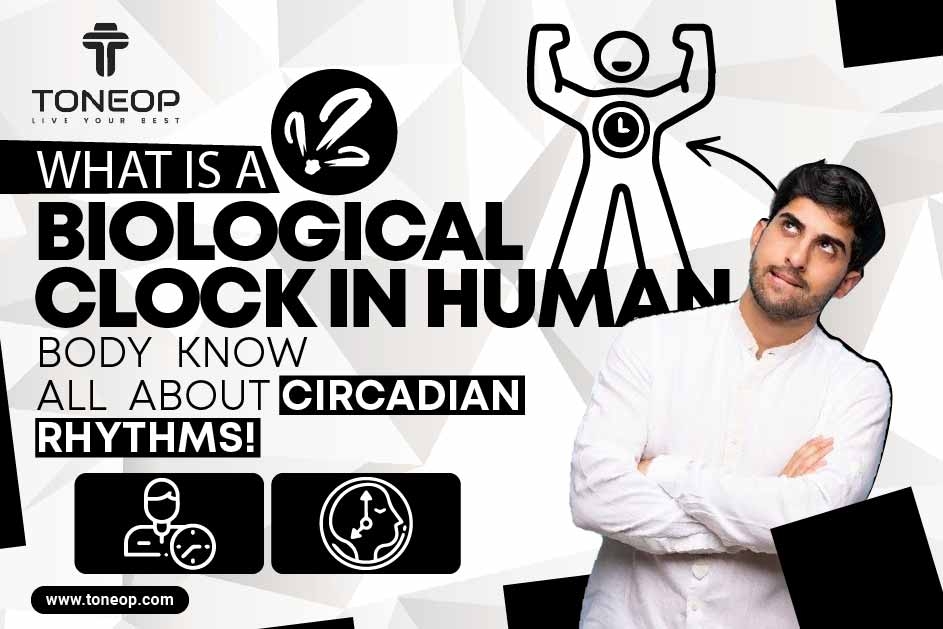 What Is Biological Clock In Human Body? Know All About Circadian Rhythms!