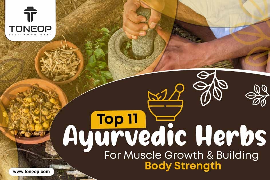 Top 11 Ayurvedic Herbs For Muscle Growth And Building Body Strength