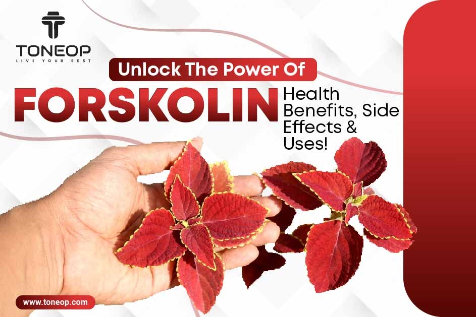 Unlock The Power Of Forskolin: Health Benefits, Side Effects And Uses! 