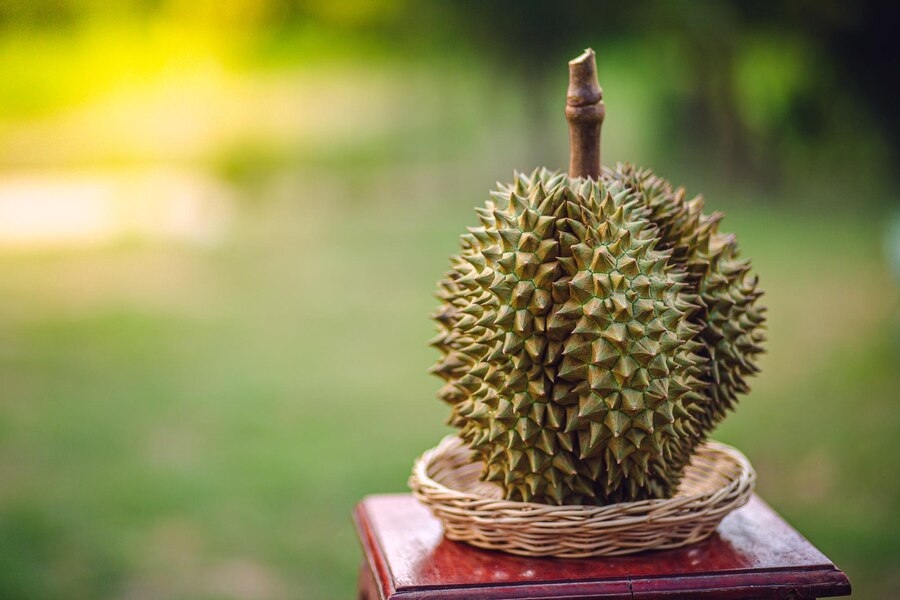 Durian In Hindi/ ड्यूरियन की रेसिपी और स्वास्थ्य लाभ