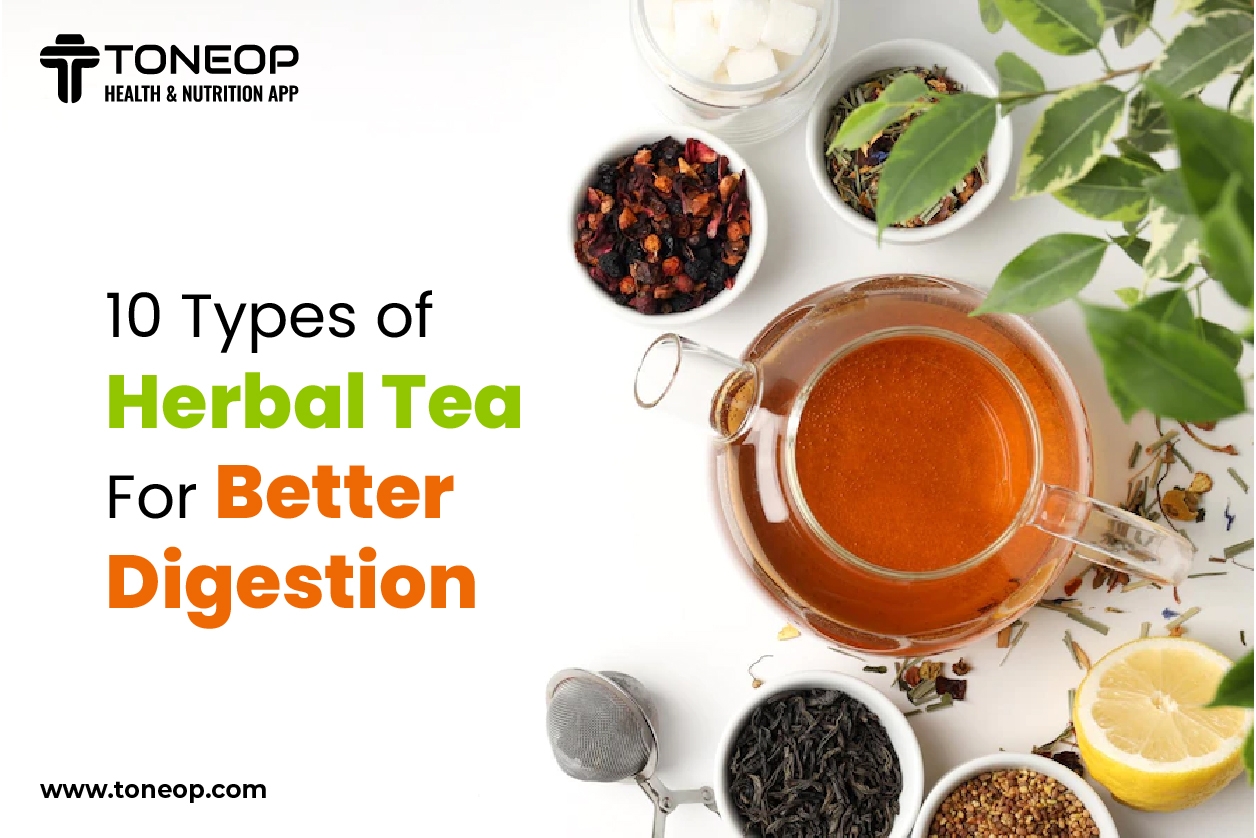 What is Infusion Tea & Its Types