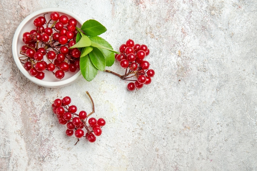 Cranberry Fruit: Health Benefits And Side Effects