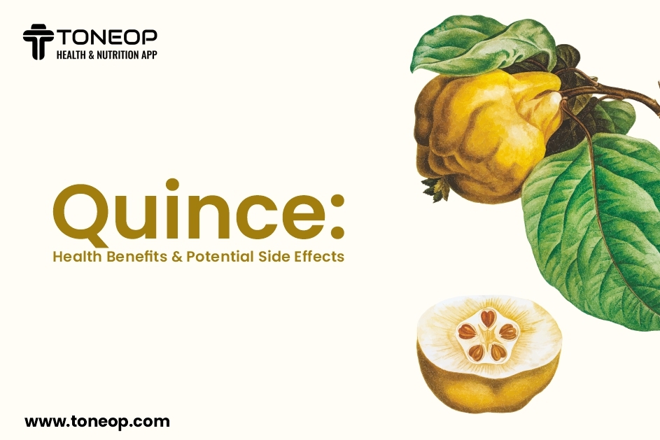 Quince: Health Benefits And Potential Side Effects