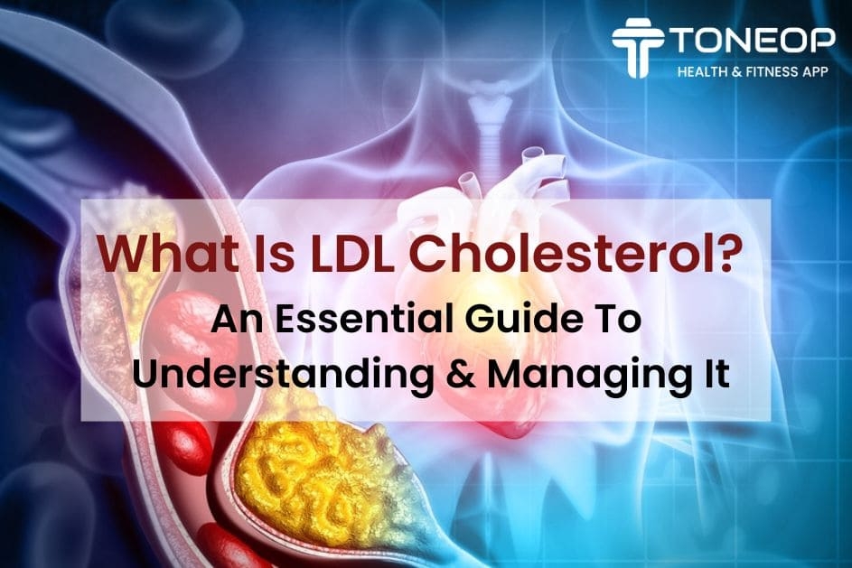 What Is LDL Cholesterol? An Essential Guide To Understanding And Managing It