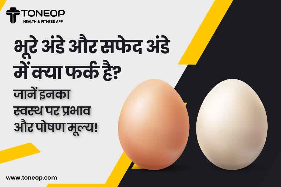 भूरे अंडे और सफेद अंडे में क्या फर्क है? जानें इनका स्वस्थ पर प्रभाव और पोषण मूल्य!