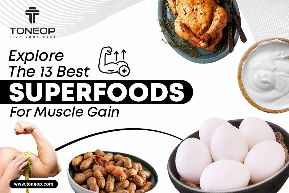 Explore The 13 Best Superfoods For Muscle Gain  