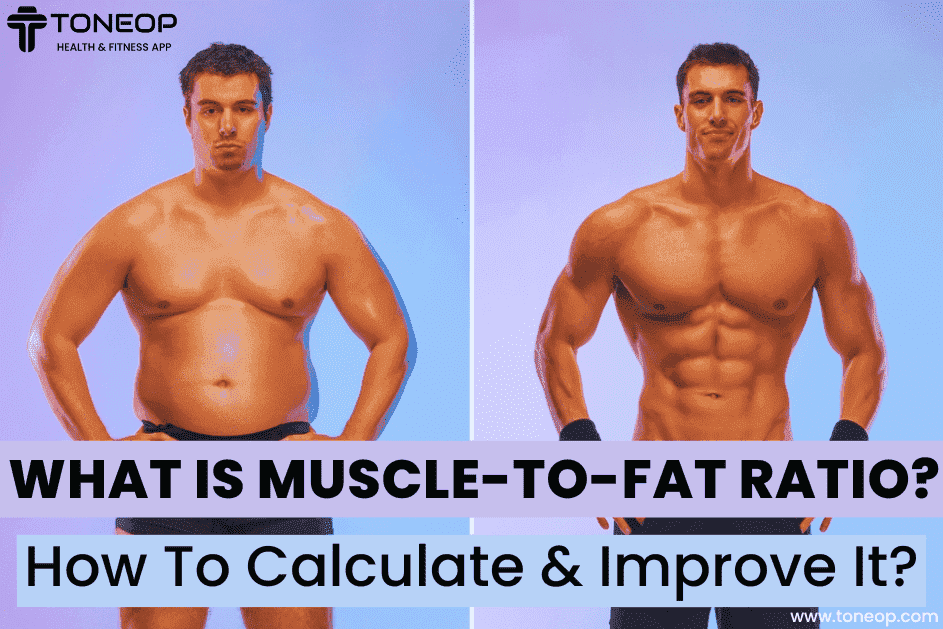What Is Muscle-To-Fat Ratio? How To Calculate and Improve It? 