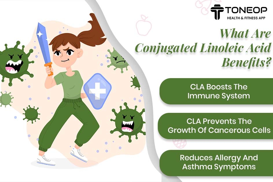 How Does CLA (Conjugated Linoleic Acid) Help In Weight Loss? Let’s Find Out!