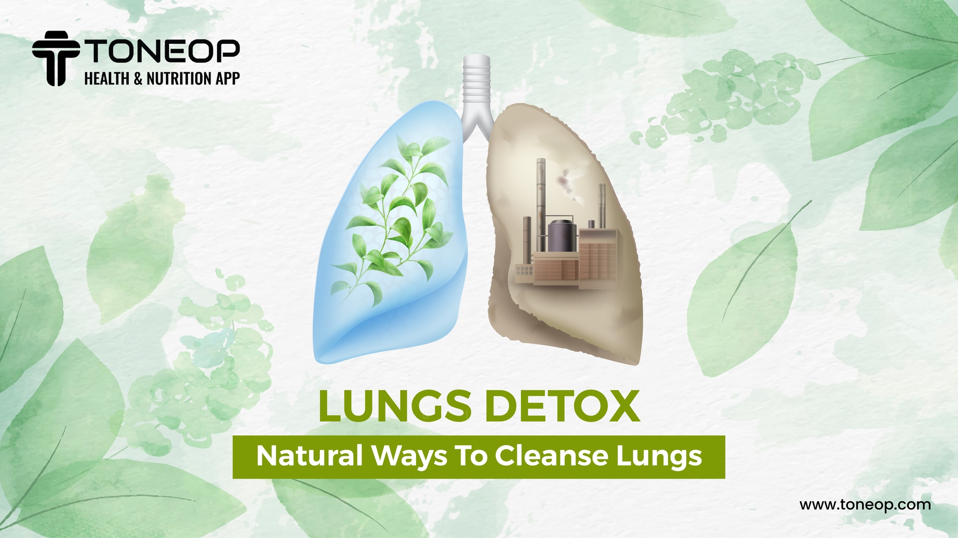 Lungs Detox: Natural Ways To Cleanse Lungs