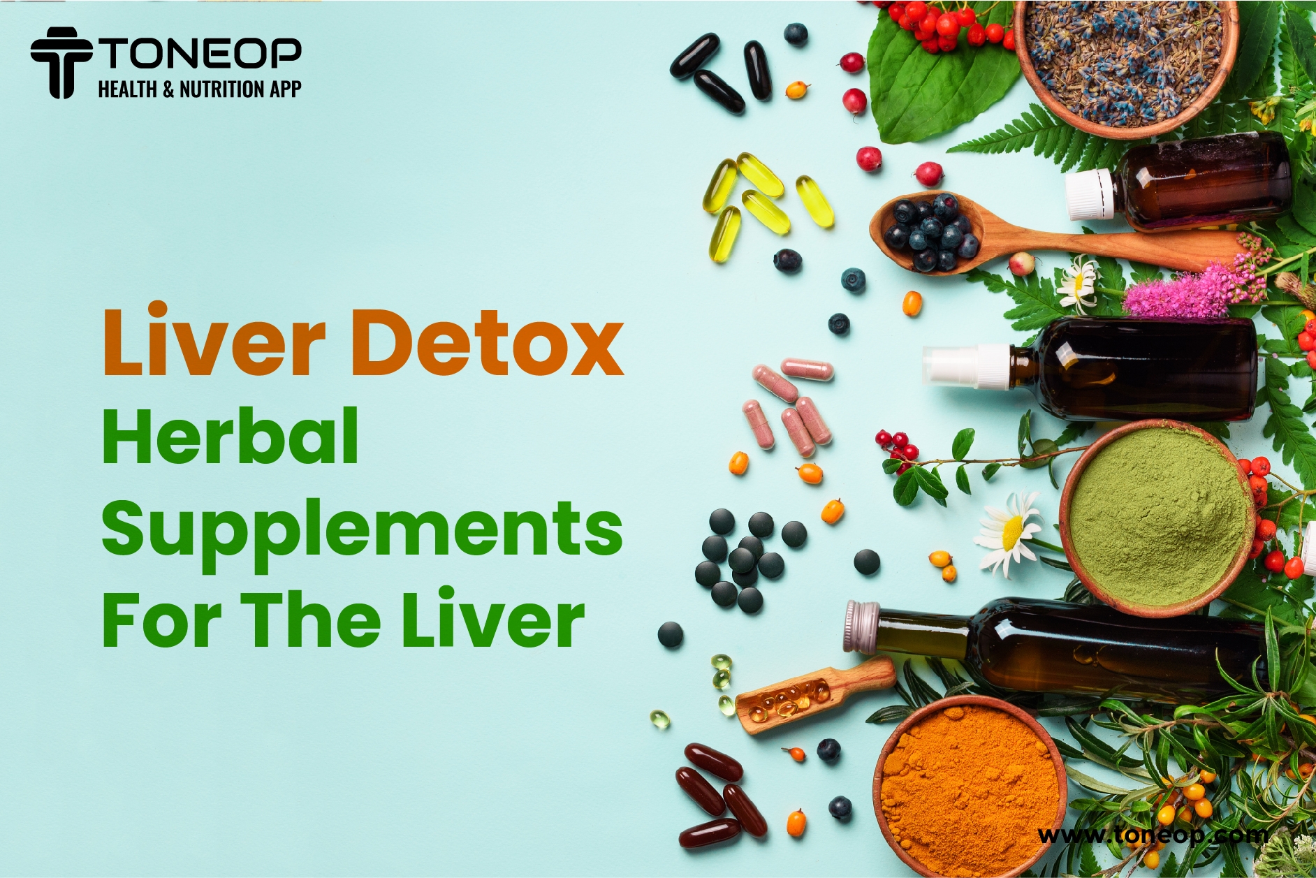 Liver Detox: Herbal Supplements For The Liver