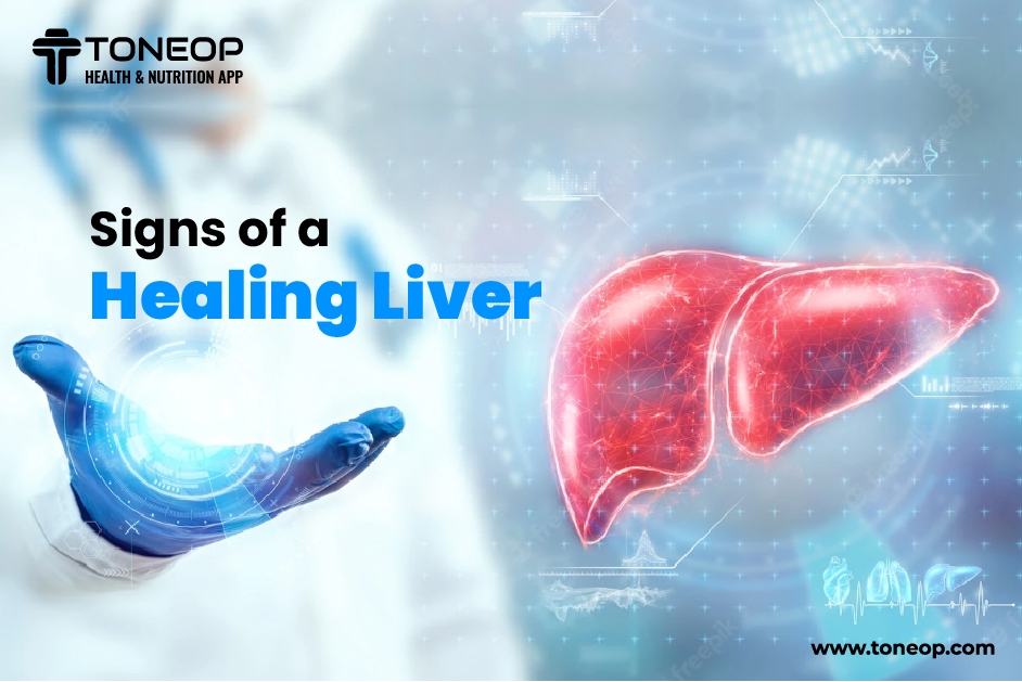 Signs Of A Healing Liver