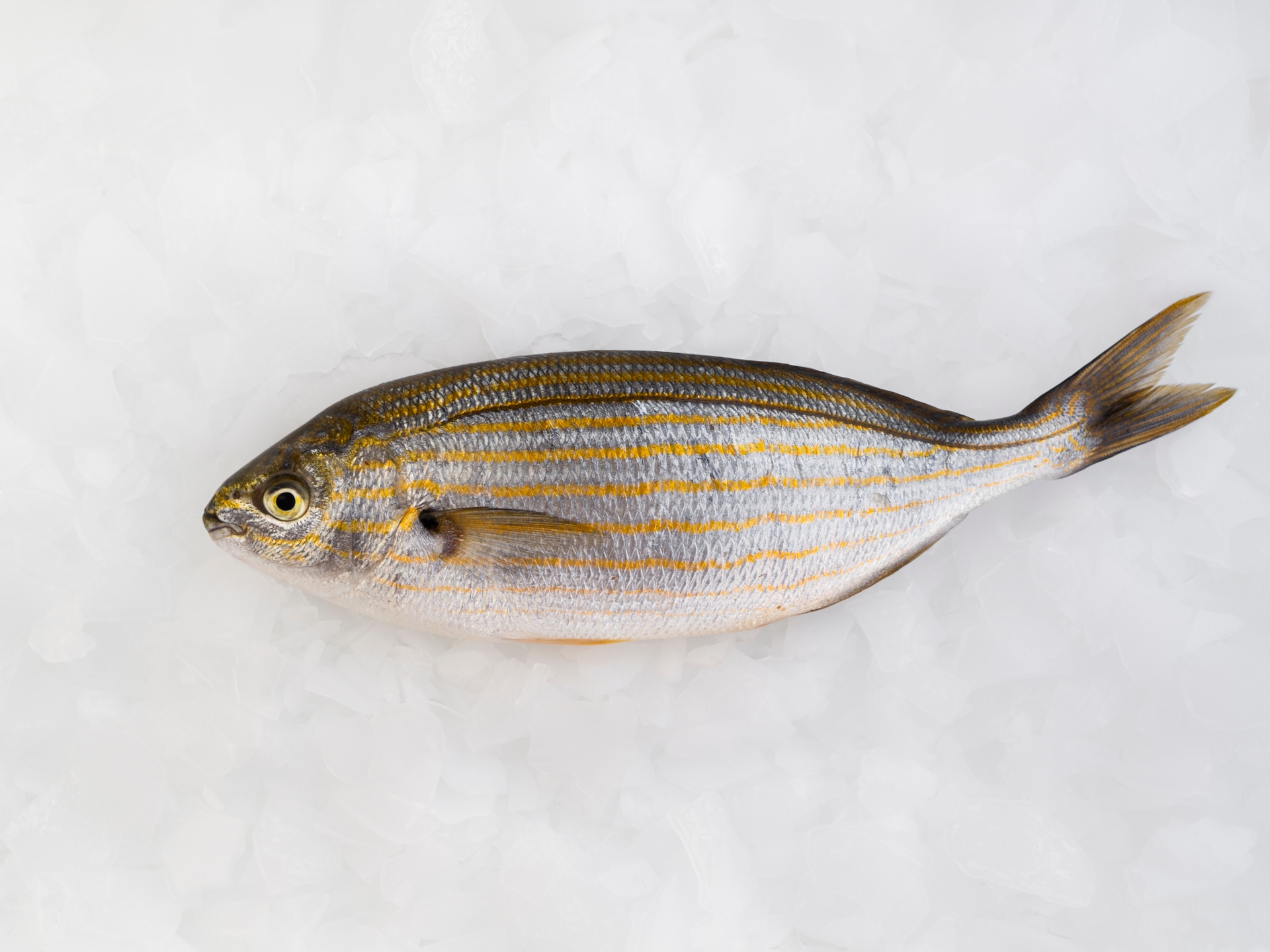 Kallur Fish Health Benefits