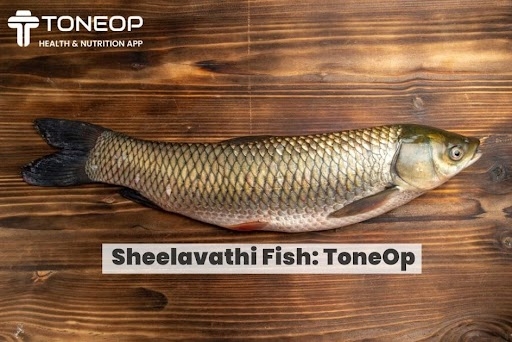 Sheelavathi-Fish-2022