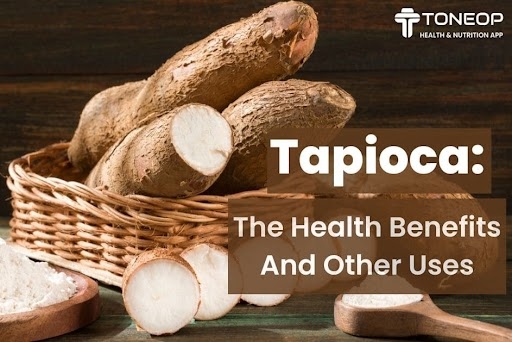 Tapioca: The Health Benefits And Other Uses