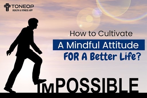How to Cultivate a Mindful Attitude For A Better Life?