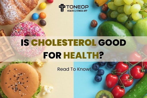 Is Cholesterol Good For Health? Read To Know!