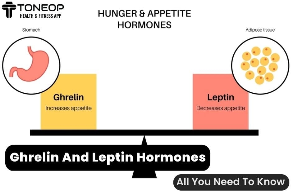 Ghrelin And Leptin Hormones: All You Need To Know