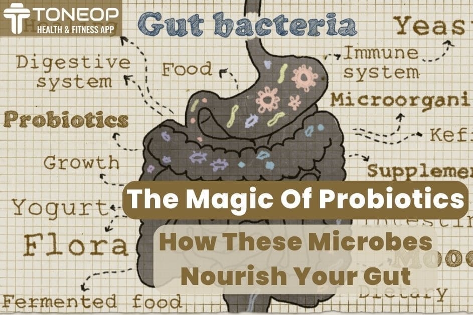 The Magic of Probiotics: How These Microbes Nourish Your Gut