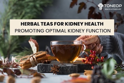 Herbal Teas for Kidney Health: Promoting Optimal Kidney Function