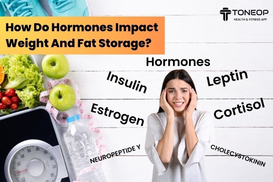 How Do Hormones Impact Weight And Fat Storage?