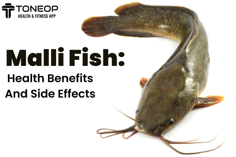 Malli Fish: Health Benefits And Side Effects