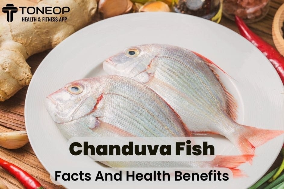 Chanduva Fish: Facts And Health Benefits
