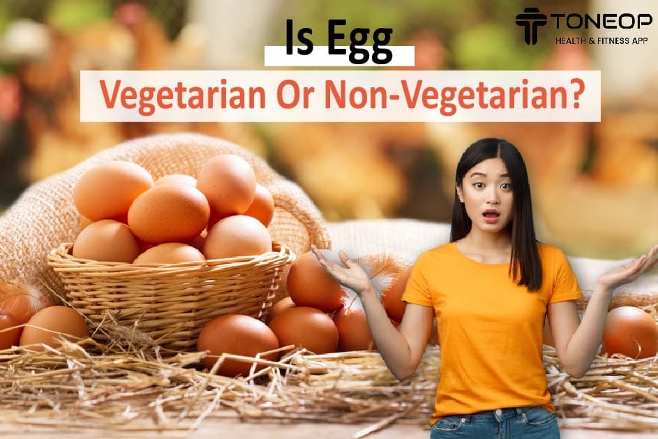 Is Egg Vegetarian Or Non-Vegetarian?