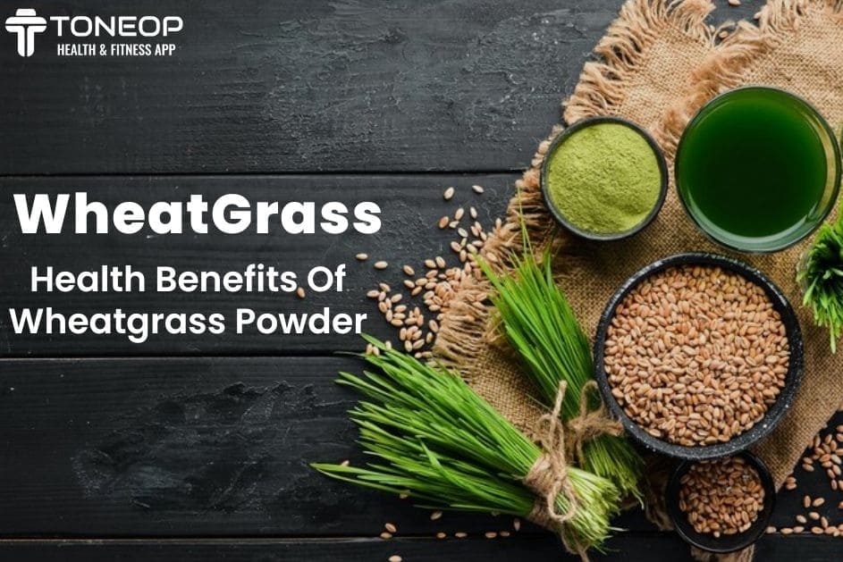 Wheatgrass: Health Benefits Of Wheatgrass Powder