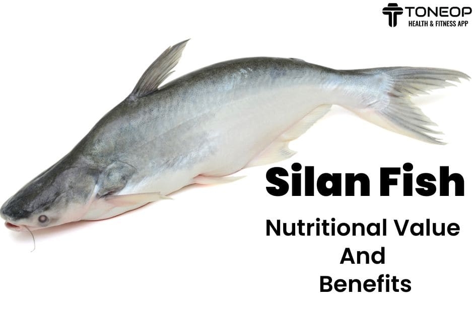 Silan Fish: Nutritional Value And Benefits