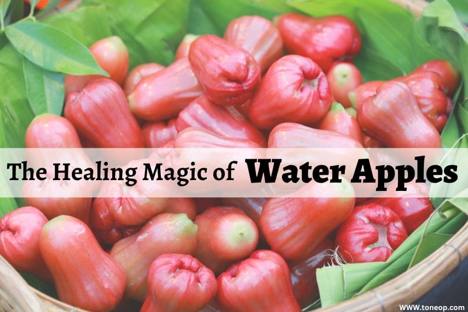 The Healing Power Of Water Apples: Health Benefits & Recipes