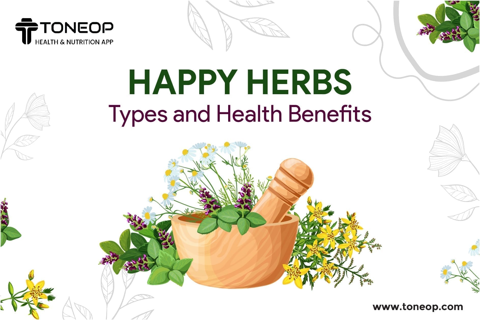 Happy Herbs: Types And Health Benefits